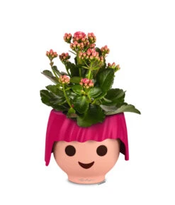 LECHUZA® OJO All-in-One-Set, Ca. Ø21/H15,8 Cm -Gardena Verkäufe 4305199 PR FS 002 OjoRubyPink