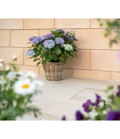 Diephaus Schalungsstein, Ca. B50/H25/T24 Cm -Gardena Verkäufe 4382347 WE MO 001 DiephausCONOSCHALUNGSSTEINSANDSTEIN