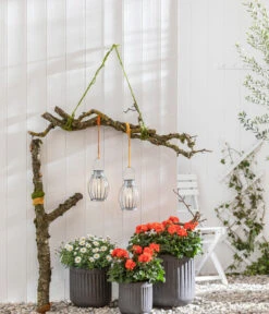 Dehner Solar-Zinkglühbirne Chester, Ca. Ø15,5/H30,5 Cm -Gardena Verkäufe 4395182 WE MO 002 DehnerZinkgluehbirneChester