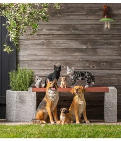 Dehner Polyresin Schäferhund -Gardena Verkäufe 4416525 4067393 4416392 3255155 3255239 3255072 WE MO 001 DehnerPolyresinHaustiere 1