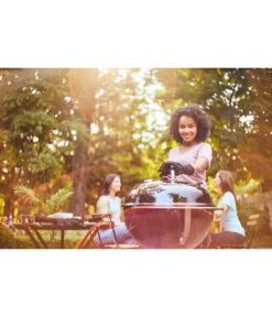 Weber Thermometer Connect Smart Grilling Hub -Gardena Verkäufe 4469391 WE MO 012 CONNECT SMART GRILL HUB