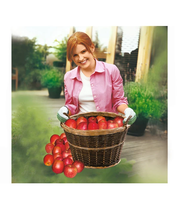 Dehner Gartenkorb 4 Dehner Gartenkorb – Bild 2