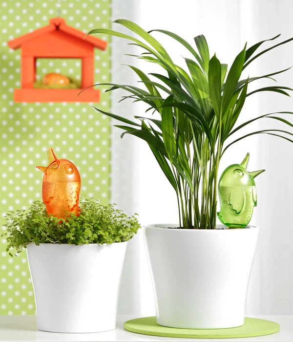 Scheurich Wasserspeicher Bördy M 5 Scheurich Wasserspeicher Bördy M – Bild 3