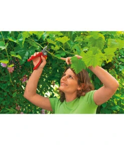 Wolf-Garten Wolf Amboss Gartenschere RS 2500 -Gardena Verkäufe 5174214 MO 002 AMBOSSGARTENSCH RS2500