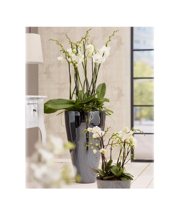 Dehner Keramik-Vase Valencia, Konisch 5 Dehner Keramik-Vase Valencia, Konisch – Bild 3