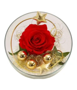 Longlife-Rose, Ca. Ø3 Cm -Gardena Verkäufe 6592539 WE FS 001 LongLifeRoseRotinGlaskugel