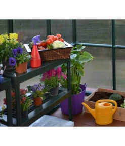 Rion Green Gewächshaus Grand Gardener, Inkl. Fundament -Gardena Verkäufe 6611016 WE DE 006 50NorthGewaechshausGrandGardener