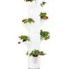 Gusta Garden Erdbeerbaum Sissi Strawberry Hanging, Ca. B27/H77/T27 Cm 1 Gusta Garden Erdbeerbaum Sissi Strawberry Hanging, Ca. B27/H77/T27 Cm -Gardena Verkäufe 6627038 WE FS 001 SissiStrawberry