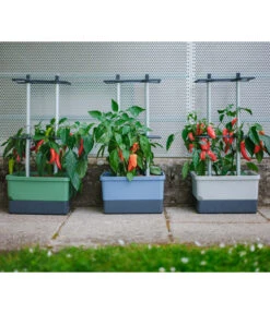 Gusta Garden Chilitopf Charly Chili, Ca. B35/H69/T28 Cm 9 Gusta Garden Chilitopf Charly Chili, Ca. B35/H69/T28 Cm -Gardena Verkäufe 6627095 WE DE 001