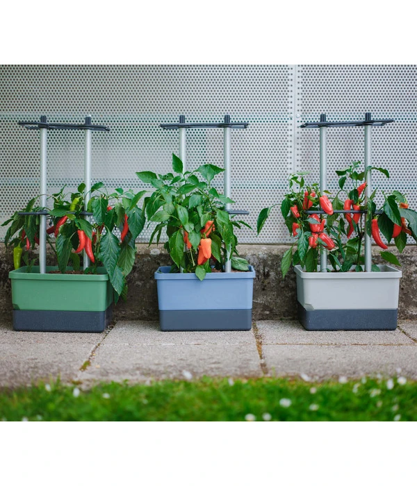 Gusta Garden Chilitopf Charly Chili, Ca. B35/H69/T28 Cm 6 Gusta Garden Chilitopf Charly Chili, Ca. B35/H69/T28 Cm – Bild 4