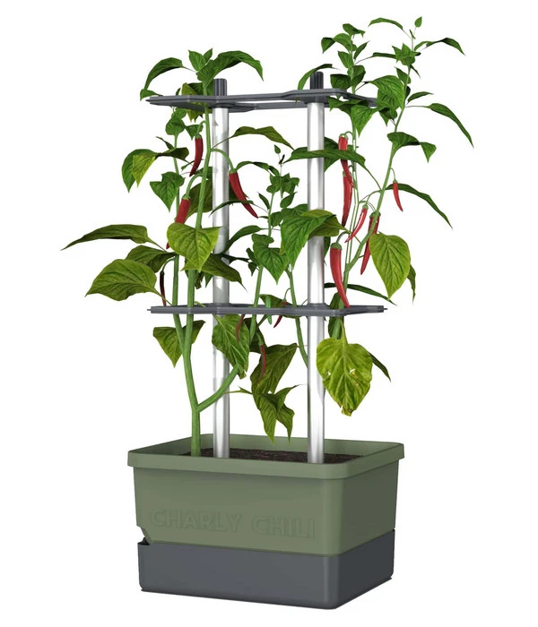 Gusta Garden Chilitopf Charly Chili, Ca. B35/H69/T28 Cm 3 Gusta Garden Chilitopf Charly Chili, Ca. B35/H69/T28 Cm