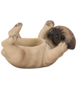 Dehner Polyresin-Mops Topf, Ca. H10 Cm