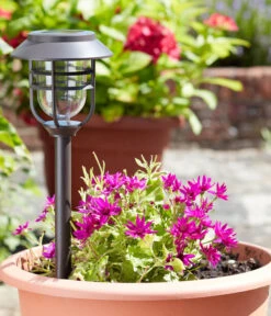 Smart Garden Solar-Pfahlleuchte Avant 5er-Set, Ca. B13,2/H43/T13,2 Cm 8 Smart Garden Solar-Pfahlleuchte Avant 5er-Set, Ca. B13,2/H43/T13,2 Cm -Gardena Verkäufe 6691901 WE MO 001 DehnerSolarPfahlleuchteAvant