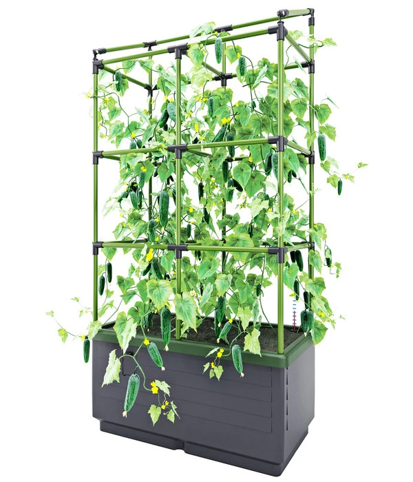 Bio Green Hochbeet City Jungle, Ca. B62/H128/T33 Cm 6 Bio Green Hochbeet City Jungle, Ca. B62/H128/T33 Cm – Bild 4