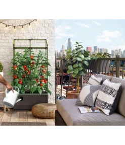 Bio Green Hochbeet City Jungle, Ca. B62/H128/T33 Cm 16 Bio Green Hochbeet City Jungle, Ca. B62/H128/T33 Cm -Gardena Verkäufe 6731566 WE MO 001 BioGreenHochbeetmitRankgitterCityJungleNEU