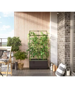 Bio Green Hochbeet City Jungle, Ca. B62/H128/T33 Cm 17 Bio Green Hochbeet City Jungle, Ca. B62/H128/T33 Cm -Gardena Verkäufe 6731566 WE MO 003 BioGreenHochbeetmitRankgitterCityJungleNEU