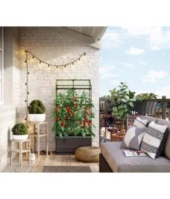 Bio Green Hochbeet City Jungle, Ca. B62/H128/T33 Cm 18 Bio Green Hochbeet City Jungle, Ca. B62/H128/T33 Cm -Gardena Verkäufe 6731566 WE MO 004 BioGreenHochbeetmitRankgitterCityJungleNEU