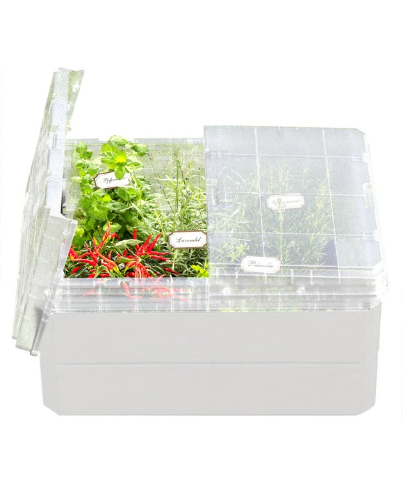 Garantia Frühbeetaufsatz Quadro, Ca. B80/H10/T60 Cm 4 Garantia Frühbeetaufsatz Quadro, Ca. B80/H10/T60 Cm – Bild 2