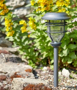 Smart Garden Pfahlleuchte Capri, Ca. B14/H48,5/T14 Cm 9 Smart Garden Pfahlleuchte Capri, Ca. B14/H48,5/T14 Cm -Gardena Verkäufe 6758379 WE MO 001 DehnerSolarPfahlleuchteCapri