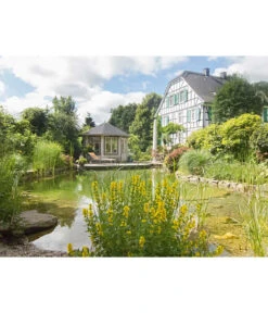 Wolff Finnhaus Pavillon Milano 3.5, Ca. B430,1/H346/T430,1 Cm -Gardena Verkäufe 6931927 WE MO 003 FinnhausGartenhaus