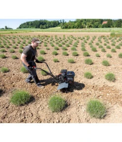 AL-KO Benzin-Motorhacke MH 540 -Gardena Verkäufe 6943245 WE MO 003 MotorhackeMH540