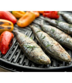 CADAC Gasgrill Grillo Chef 40 -Gardena Verkäufe 6961742 6961759 WE MO 001 Cadac GasgrillGrilloChef40