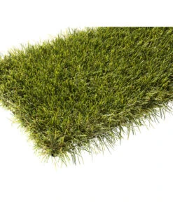 Hamat Kunstrasen Dugenta