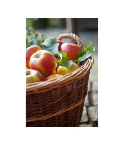 Dehner Gartenkorb 12 Dehner Gartenkorb -Gardena Verkäufe 745141 482893 WE MO 002 Gartenkorb