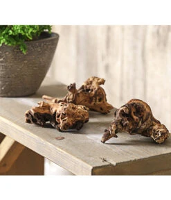 Mopani-Wurzel, 3er-Set -Gardena Verkäufe 7977507 WE MO 001 MopanieWurzelGroesseS3erSetDehnerExpressHerzig