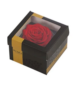 Longlife-Rose In Geschenkbox, Ca. Ø9 Cm 5 Longlife-Rose In Geschenkbox, Ca. Ø9 Cm -Gardena Verkäufe 8170193 WE FS 001 LonglifeRoseSORedDehnerExpressHerzig