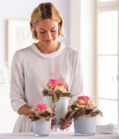 Longlife-Rose, Ca. Ø6 Cm -Gardena Verkäufe 8170235 WE MO 001 LonglifeRose