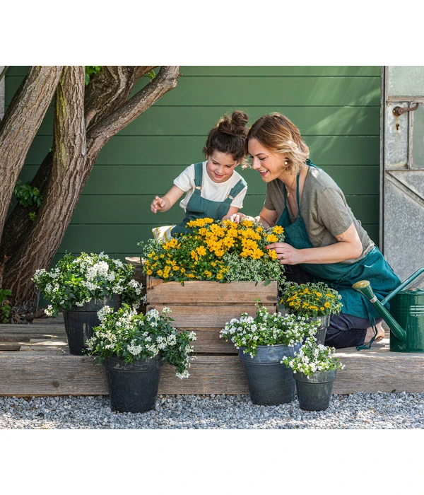 ESSCHERT DESIGN Esschert Zinkgießkanne, 7,5 L 4 ESSCHERT DESIGN Esschert Zinkgießkanne, 7,5 L – Bild 2